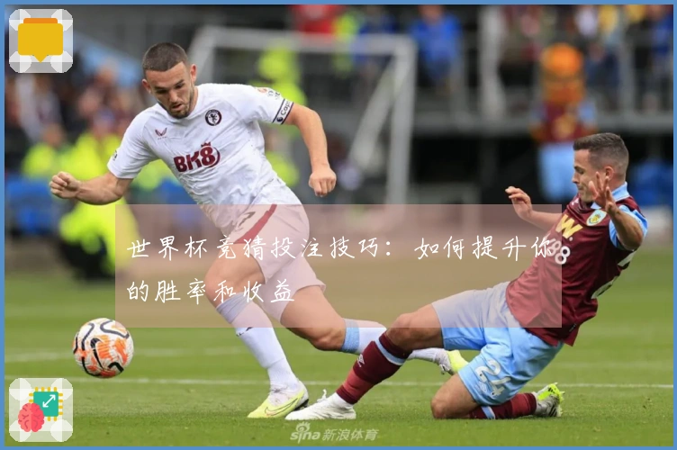 世界杯竞猜投注技巧：如何提升你的胜率和收益