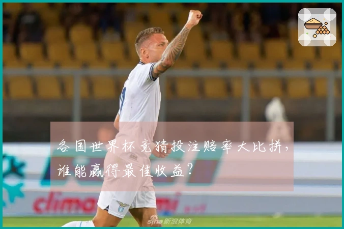 各国世界杯竞猜投注赔率大比拼，谁能赢得最佳收益？