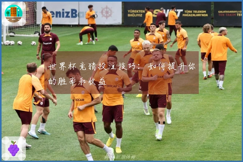 世界杯竞猜投注技巧：如何提升你的胜率和收益