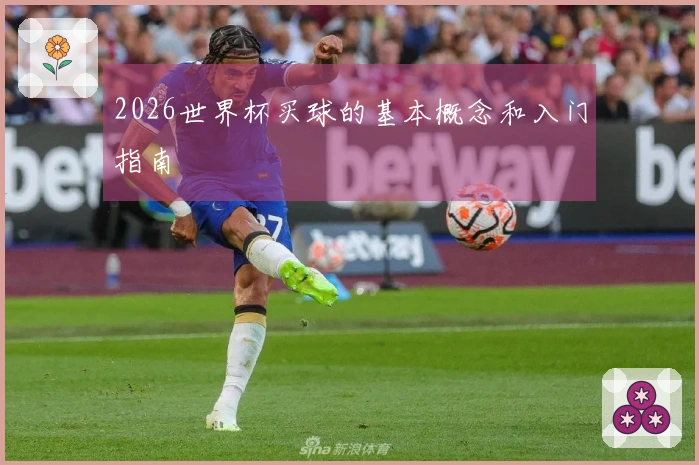 2026世界杯买球的基本概念和入门指南