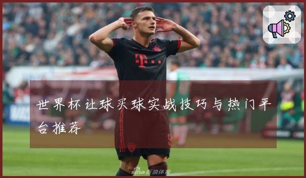 世界杯让球买球实战技巧与热门平台推荐