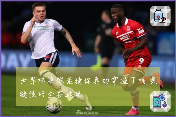 世界杯滚球竞猜你真的掌握了吗 关键技巧全在这里