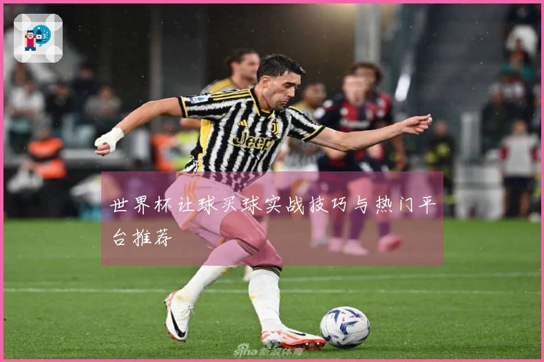 世界杯让球买球实战技巧与热门平台推荐