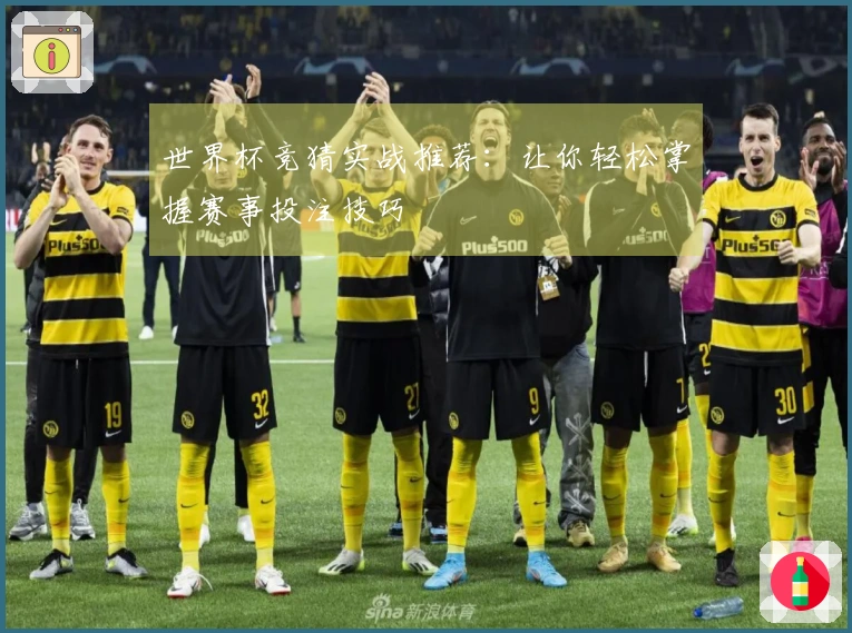 世界杯竞猜实战推荐：让你轻松掌握赛事投注技巧