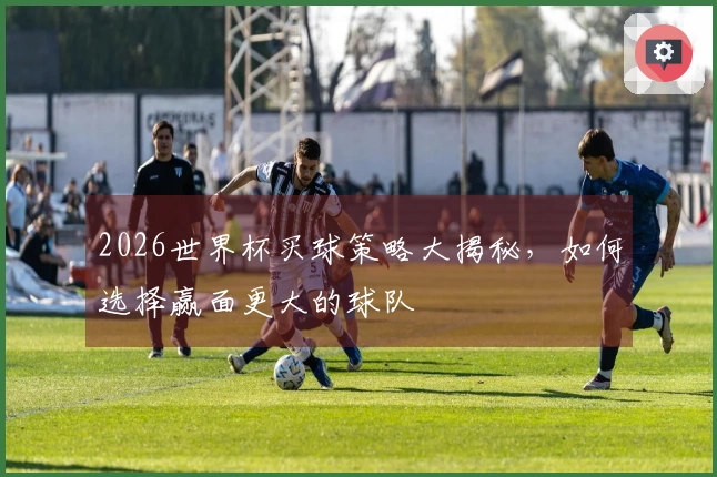 2026世界杯买球策略大揭秘，如何选择赢面更大的球队