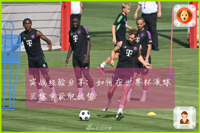 实战经验分享：如何在世界杯滚球买球中获取优势